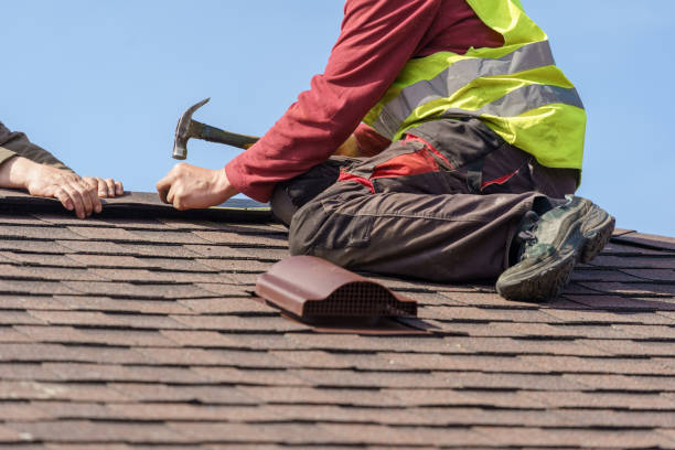 Best Roof Gutter Cleaning  in Eastwood, LA