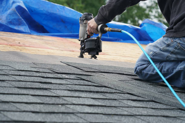 Roof Gutter Cleaning in Eastwood, LA
